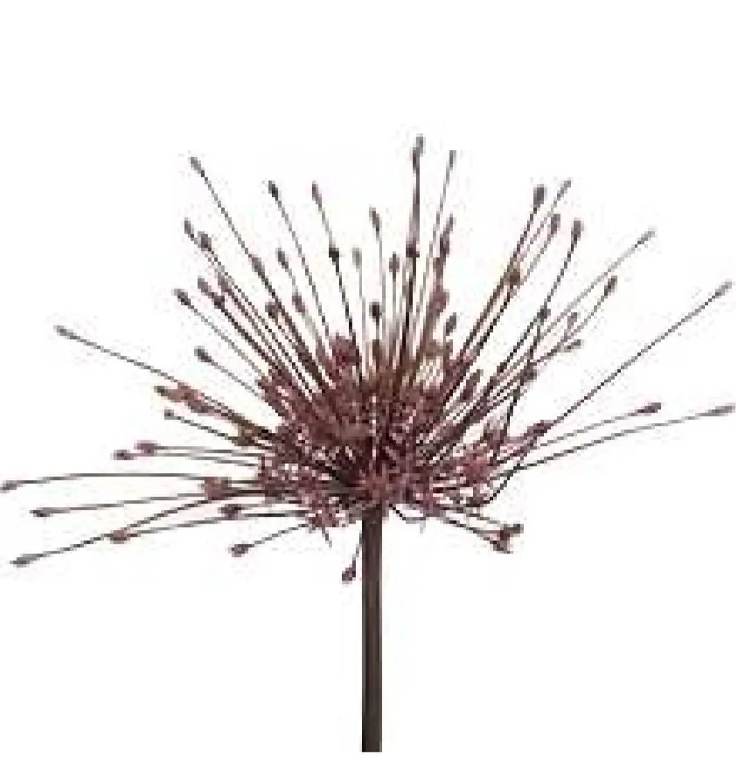 Alium 50-60cm