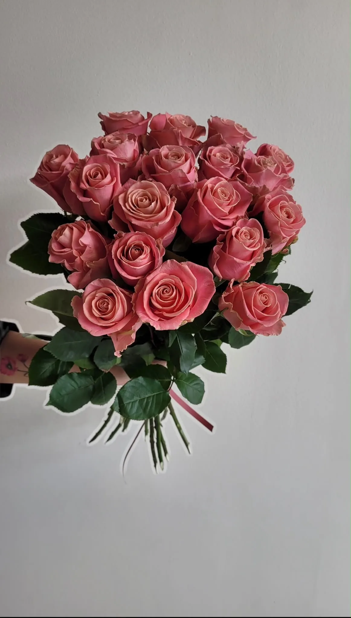 Rosa Rosprakt, 20 rosor